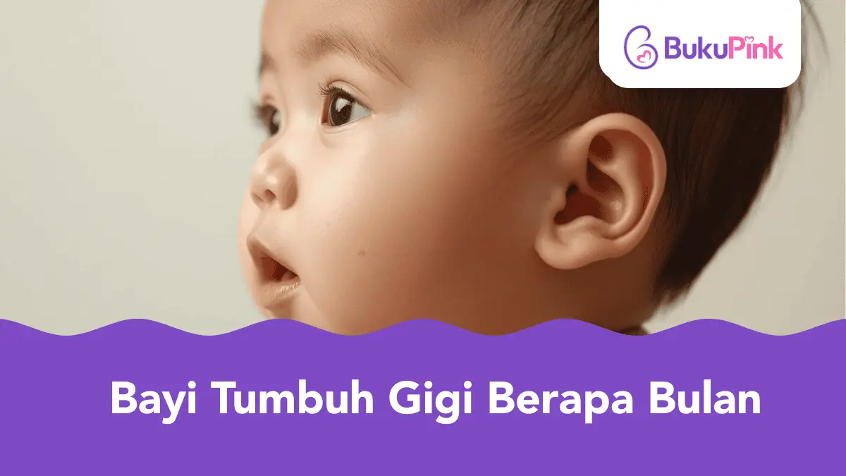 bayi tumbuh gigi berapa bulan