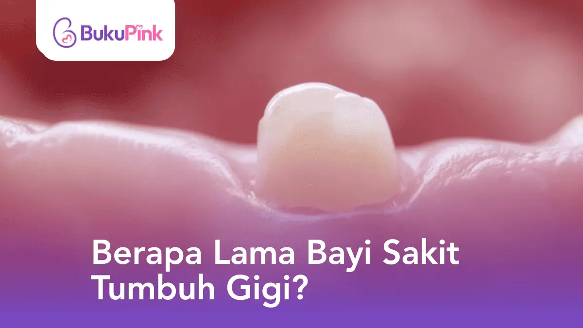 berapa lama bayi sakit tumbuh gigi