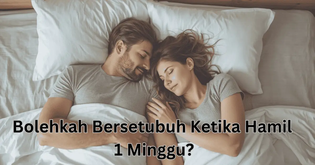 bolehkah bersetubuh ketika hamil 1 minggu