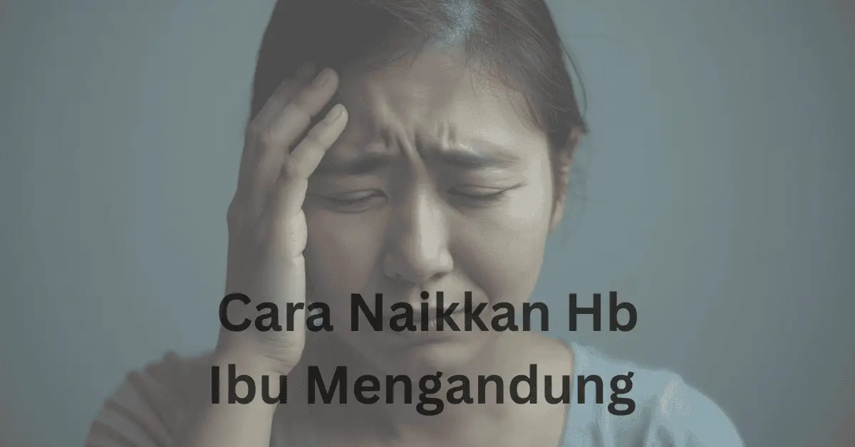 cara naikkan hb ibu mengandung