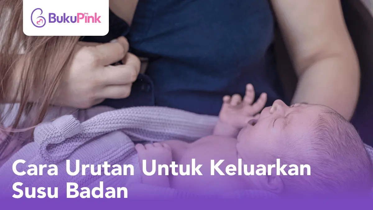cara urutan untuk keluarkan susu badan