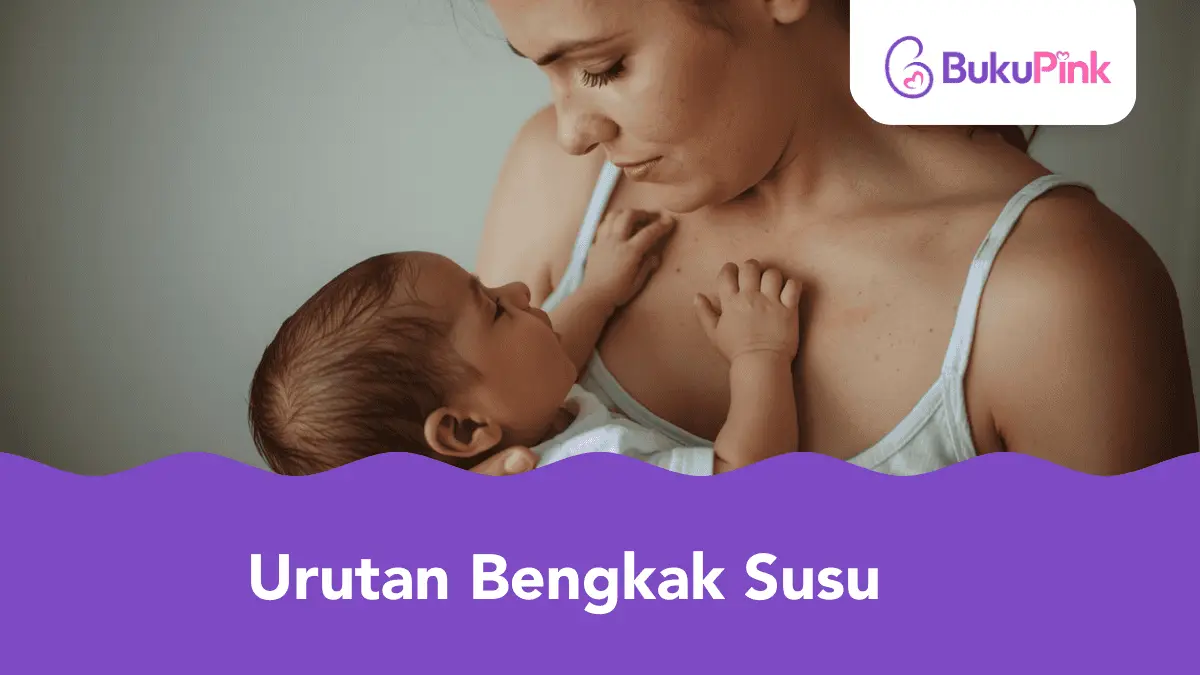 urutan bengkak susu
